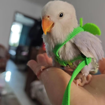 Adjustable Bird Diaper Harness Flight Suit Clothes with 80 Inch Flying Leash Rope for Parrots Conure Cockatiel (Yellow,2M)
