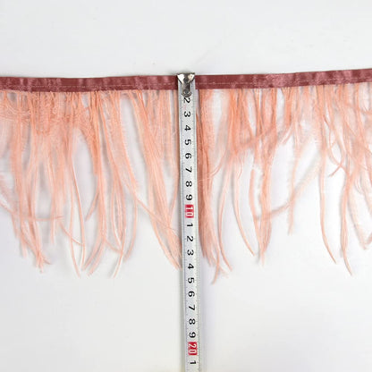 3 Yards 10-15cm Shrimp Pink Ostrich Feathers Trim Fringe for DIY Dress Sewing Crafts Costumes Decoration