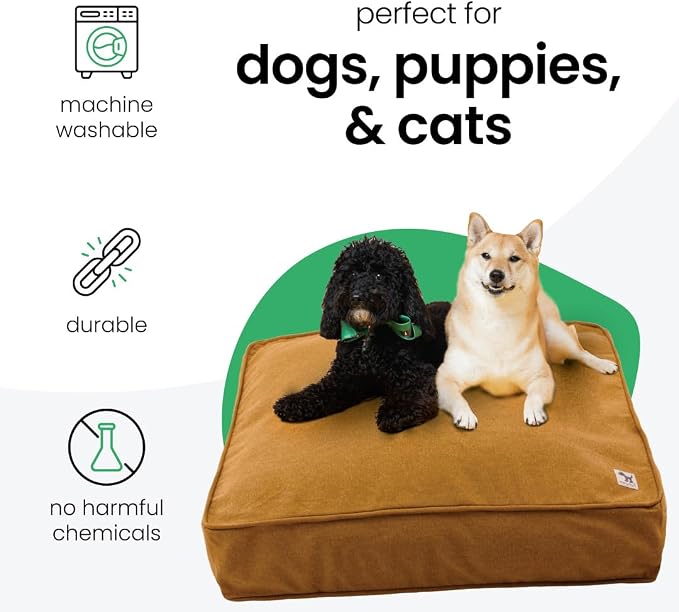 Molly Mutt Fast Car Dog Bed Duvet Cover, GOTS-Certified 100% Cotton Canvas Cover for Dog, Puppy, or Cat Bed, Durable, Washable, and Free of Harmful Chemicals, Medium/Large, 27"x36"x5", Mustard Yellow
