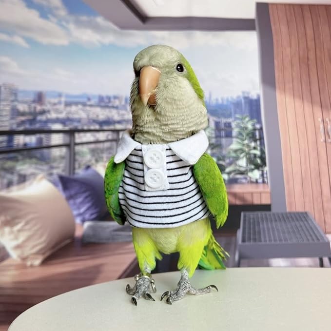 Bird Diaper Flight Suit for Parrots, Lovebirds, Parakeets & Cockatiels - Summer Clothes Cosplay Photo Prop - Small Animals Apparel (Without Diaper, Necked Parakeet)