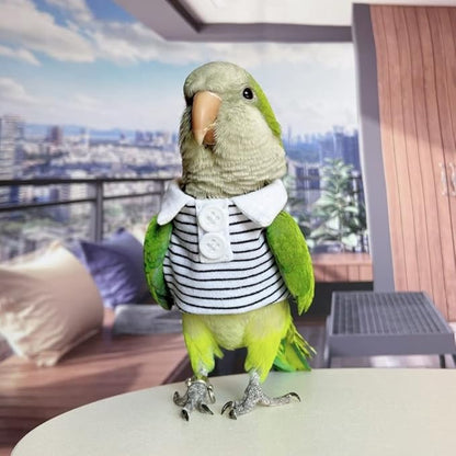 Bird Diaper Flight Suit for Parrots, Lovebirds, Parakeets & Cockatiels - Summer Clothes Cosplay Photo Prop - Small Animal Apparel (with Diaper, Budgie)