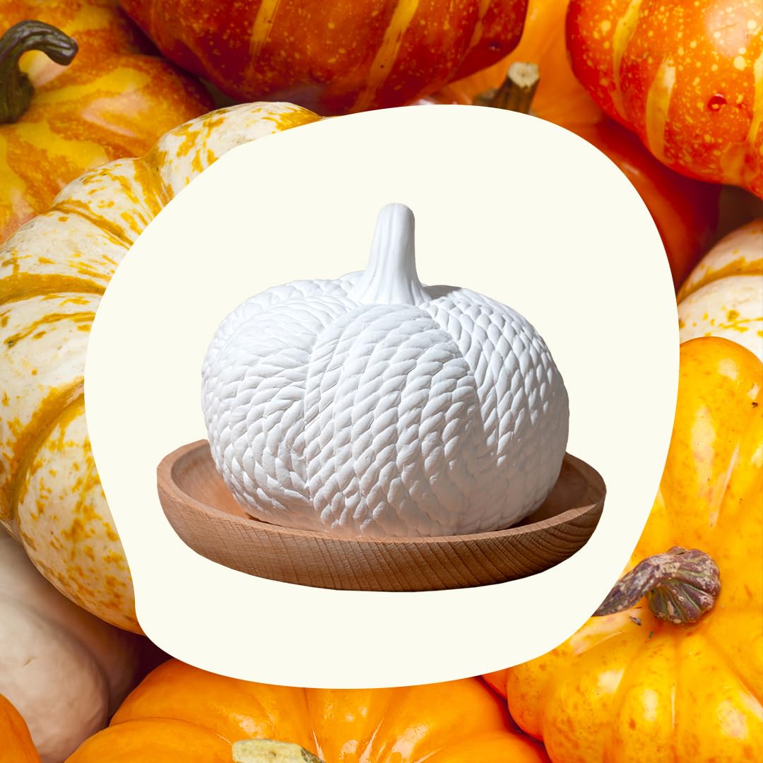 Plant Therapy Passive Lotus Flower Aromatherapy Diffuser - A Chic and Natural Home, Office, and Travel Essential Oil Diffuser