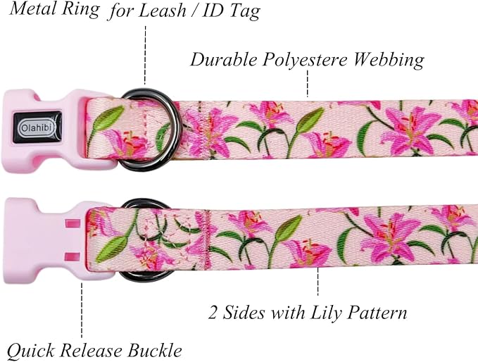 Dog Collar Leash Set, Floral Pattern, Polyester Material, Adjustable Collar and 5ft Matchcing Leash, for Puppy Dogs.(XS, Pink Lily)