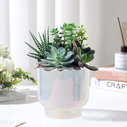 LB Blue White Ceramic Planters for Indoor Plants, Succulent Plant Pots Ceramic Plant Pot, Modern Flower Pots for Living Room Office Home Decor, Round Flower Pot of 4.3 Inch(Plant Not Included)