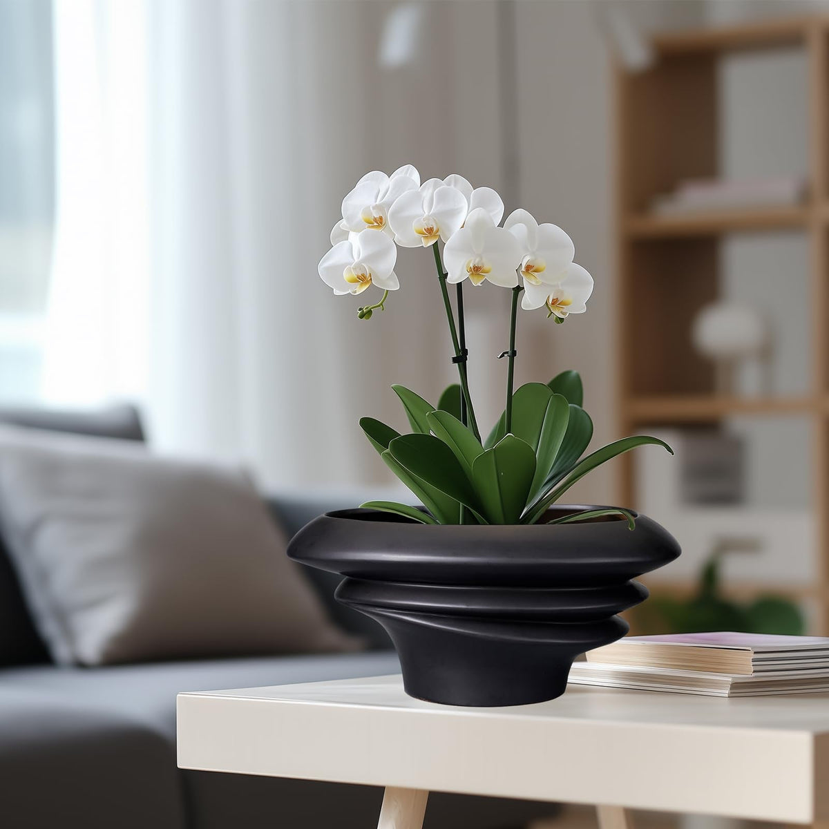 SQOWL Bonsai Pot 10 Inch - Ceramic Succulent Planter with Drainage Hole Large Plant Pot for Indoor Plants Outdoor Modern Home Decor Black