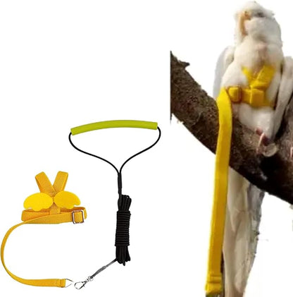 Bird Harness Leash Adjustable Outdoor Training Flying Harness Traction Rope with Cute Wing for Parrots Pigeons Budgerigar Lovebird Cockatiel Mynah (S,Yellow)