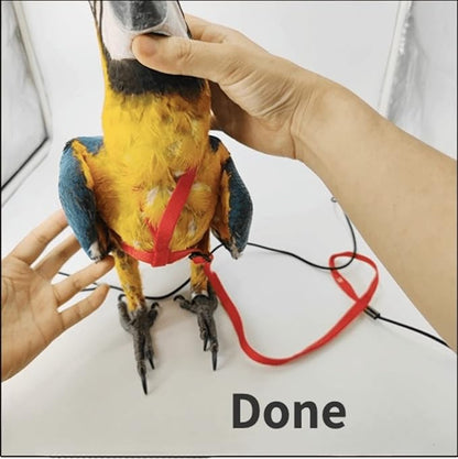 Adjustable Bird Harness with 78.7 Inch Leash, Outdoor Flying Training Rope Kit for Bird Parrots, Parrot Flying Rope Straps Outdoor Training Traction Rope for Small Medium Large Size Birds (M)
