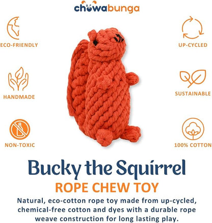 Bucky The Squirrel Dog Toy Handmade Eco Cotton Rope Squirrel Toy for Dogs - Natural, Non-Toxic Dyes, Dog Chew Toys for Small & Medium Breed Dogs, Cats (Small)