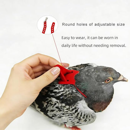 Adjustable Bird Harness & Leash Set for Small Birds,FitsBudgie,Parakeets, Conures, Cockatiels,Green Cheek,Quaker Parrots(Red, S) Z6350-2