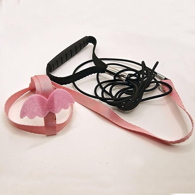 Pet Parrot Bird Harness and Leash, Adjustable Training Design Anti-Bite, Bird Nylon Rope with Cute Wing for Parrots, Suitable for Macaw Cockatoo Cockatiel Lovebird Conure African Grey (Pink,XS)