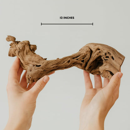 Koyal Wholesale 12" Sandblasted Grapevine Wood for Hamsters, Reptiles Terrarium, Exotic Untreated Grapewood Branch for Decoration Home Wedding DIY