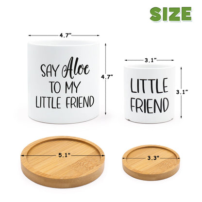 Tuitessine Say Aloe to My Little Friend Planter Plant Lover Set of 2 Spring Funny Pun Flower Pot with Bamboo Tray Ceramic Indoor Succulent Hole Spring Birthday Housewarming Gifts (No Plants)