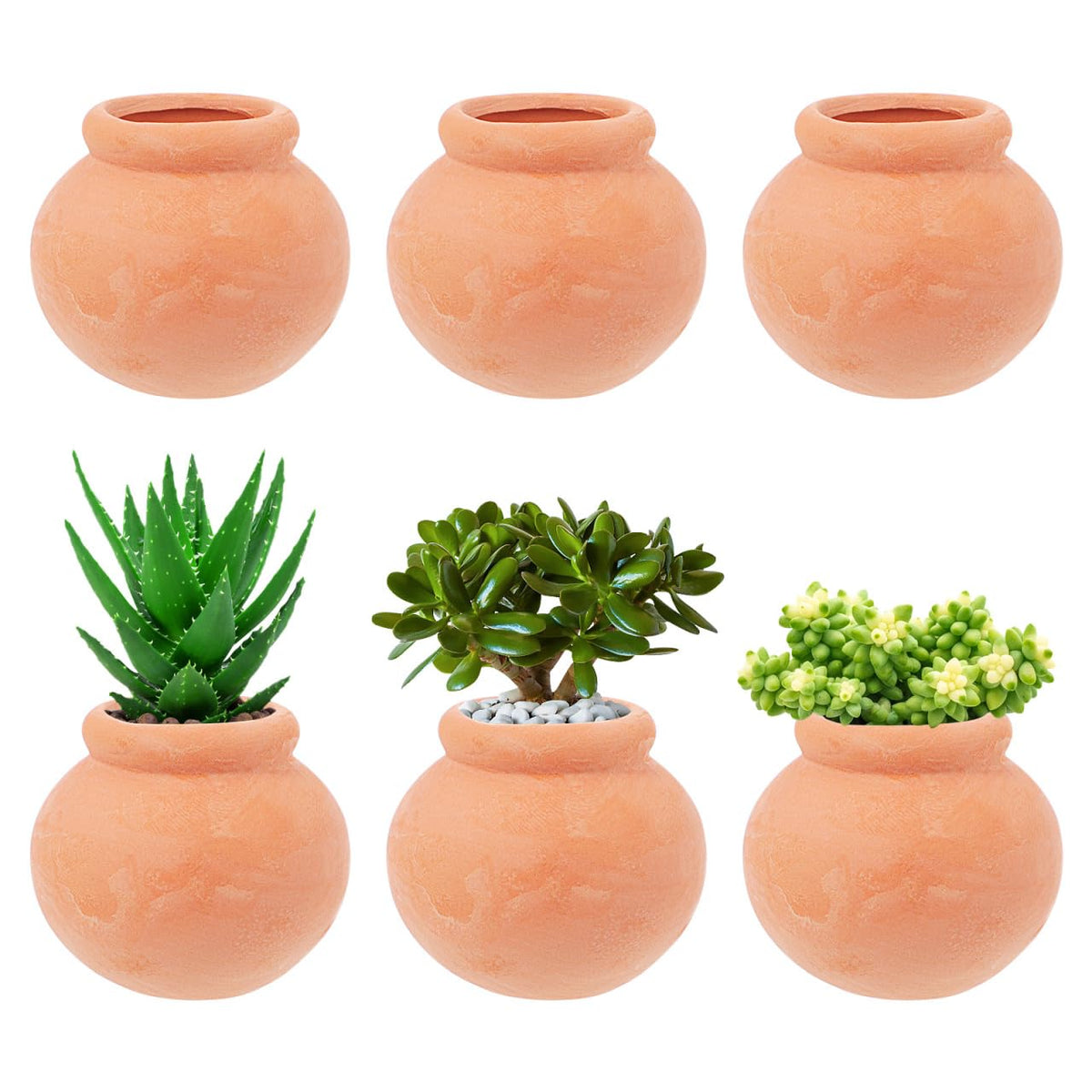 Toddmomy Miniature Terracotta Succulent Pots 12Pcs Mini Clay Flower Planting Pots for Indoor Plants, Cactus, Fairy Garden, DIY Crafts, Home Decor Accessories