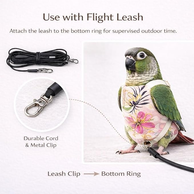 5PCS Bird Diaper Harness Set with Flight Leash and Disposable Liners, Reusable Bird Diapers for Parrots Conures Cockatiels Parakeets, Adjustable Bird Harness for Indoor Companion Birds(L)