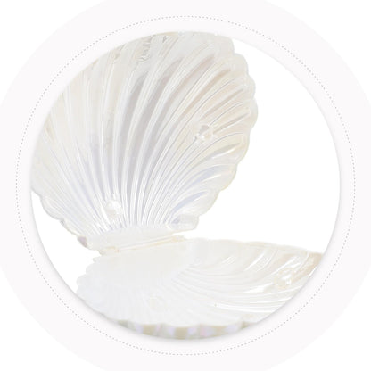 Gadpiparty 10pcs Sea Shell Party Favors, Shell Jewelry Box, for Birthday Decorations and Under the Sea Theme Party Ocean Beach Goodie Treat Supplies