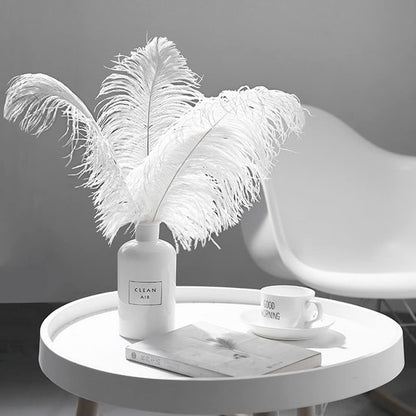 MARRTEUM 8-10 Inch Natural Ostrich Feathers for Party, Wedding, Masquerade and Home Decorations(10 PCS Black and 10PCS White)