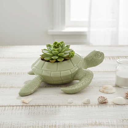 Comfy Hour 9" Sea Turtle Succulent Planter, Decorative Ceramic Turtle Flower Pot for Cactus and Small Plants, Ocean Theme Indoor Outdoor Tabletop Display, Palegreen Dolomite, 1 Unit