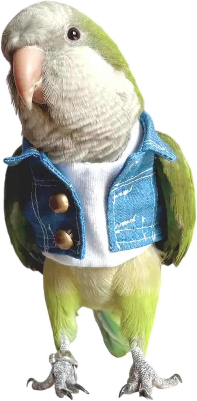 Bird Costume Bird Diaper Flight Suit Bird Jeans Fake Two Pieces Bird Clothes Cosplay Photo Prop for Parrots Lovebird Parakeet Cockatiel Small Animals Apparel (Without Diaper,Eclectus)