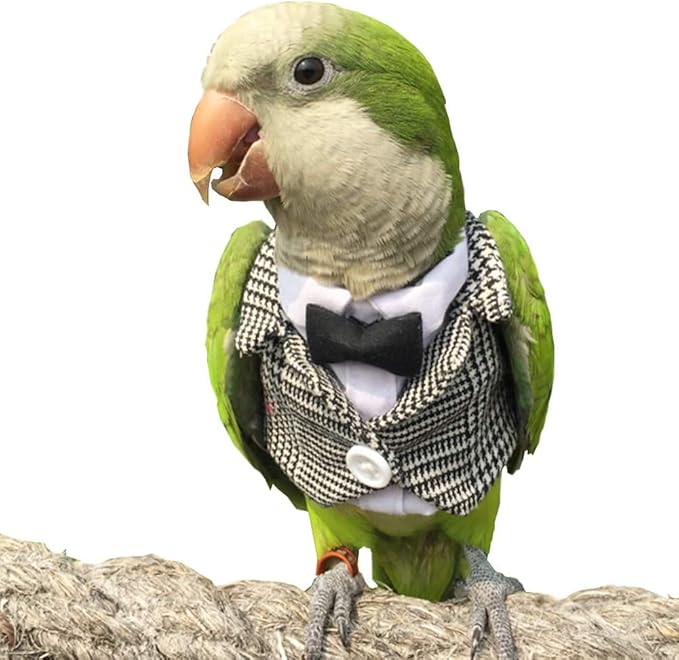 Bird Clothes Birds Flight Suit,Tuxedo Business Suit for Parrots African Greys Parakeet Cockatiel Sun Conure Christmas Party Birthday Cosplay Photo Prop Small Animals Apparel (S,Grid Suit)