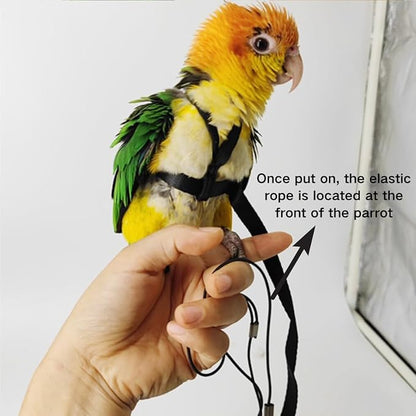 Adjustable Bird Harness and Leash for Parrots Outdoor Flight Training Anti-Bite Light Weight Easy-to-Wear Bird Vest with 59 Inch Elastic Leash for Quaker Conure African Grey Macaw Cockatoo (XXS)