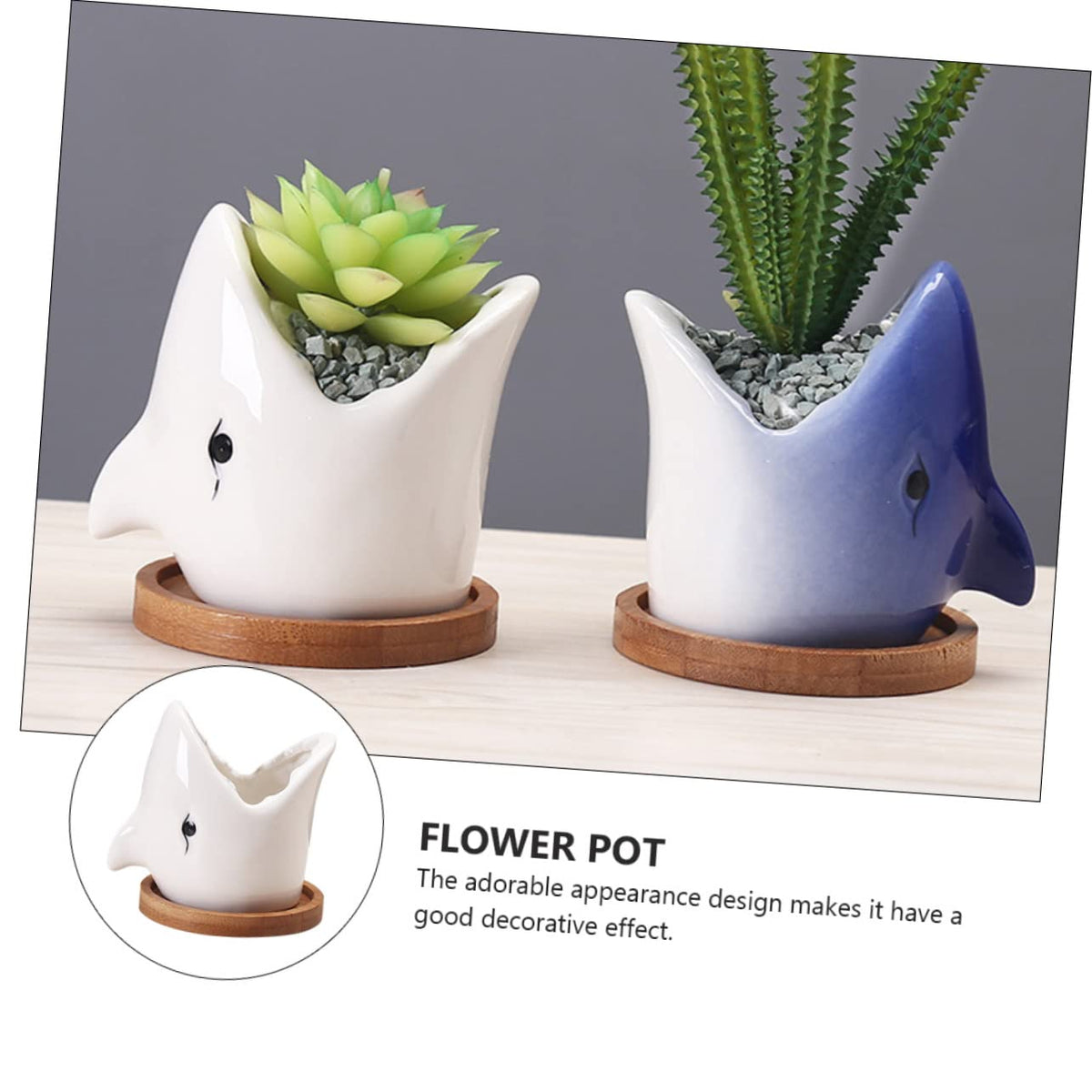 OFFSCH Adorable Ceramic Succulent Flowerpot Unique Big Mouth Shark Design for Indoor Decor Present for Friends and Planter