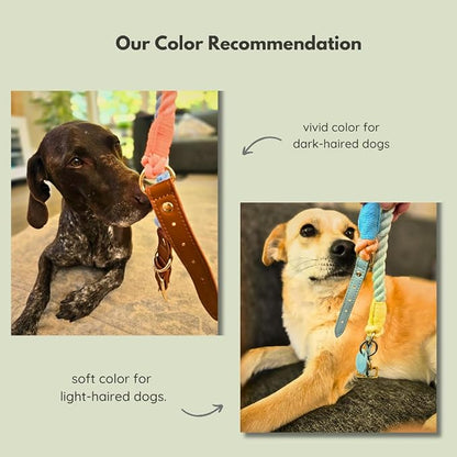 Pawtopia 5FT Dog Leash & Collar Set - Large Dogs, Cotton Braided Rope with Vegan Leather Handle (Brown) with Two Complimentary Rolls of Dog Poop Bags (30 Bags), Durable Clasp (Vivid Rainbow, Large)
