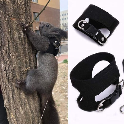 3 Pack Squirrel Harness and Leash Set - Adjustable Traction Rope Strap Anti-Biting Chain,Small Animal Training Walking Vest Leash for Squirrel Gerbil Chinchilla Rat (Brown)