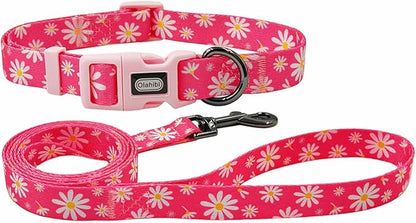Dog Collar Leash Set, Floral Pattern, Polyester Material, Adjustable Collar and 5ft Matching Leash, for Large Dogs.(L, Pink Daisy)