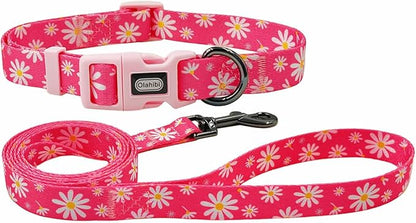 Dog Collar Leash Set, Floral Pattern, Polyester Material, Adjustable Collar and 5ft Matching Leash, for Small Dogs.(S, Pink Daisy)