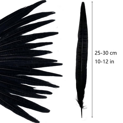 10pcs Black Pheasant Tail Feathers 10"-12" Gothic Decorative Feathers for Dark Edgy Art Projects Halloween Costumes Witchy Cosplay