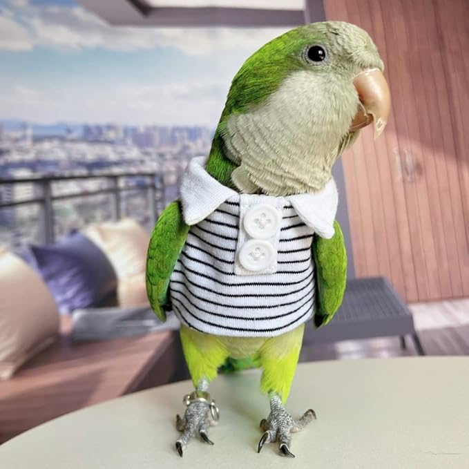 Hahn's Macaw Bird Diaper Flight Suit Summer Clothes Cosplay Photo Prop for Parrots Lovebird Parakeet Cockatiel Small Animals Apparel (with Diaper)
