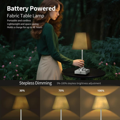 Rechargeable LED Table Lamps with Stepless Touch Control,Light Sliver Cordless Lamp for Living Room&Bedside&Patio&Shower,Small Desk Lamp(6000mAH Battery),1 Pack for Home Decor,Best Gifts for Family