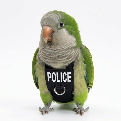 Bird Diaper Flight Suit, Cute Cosplay Parrot Clothes, Easy-to-Wear Washable Nappy, Durable Metal Ring Harness for Cockatiel, Conure, African Grey, Parakeet Outdoor Flying (with Leash,S)