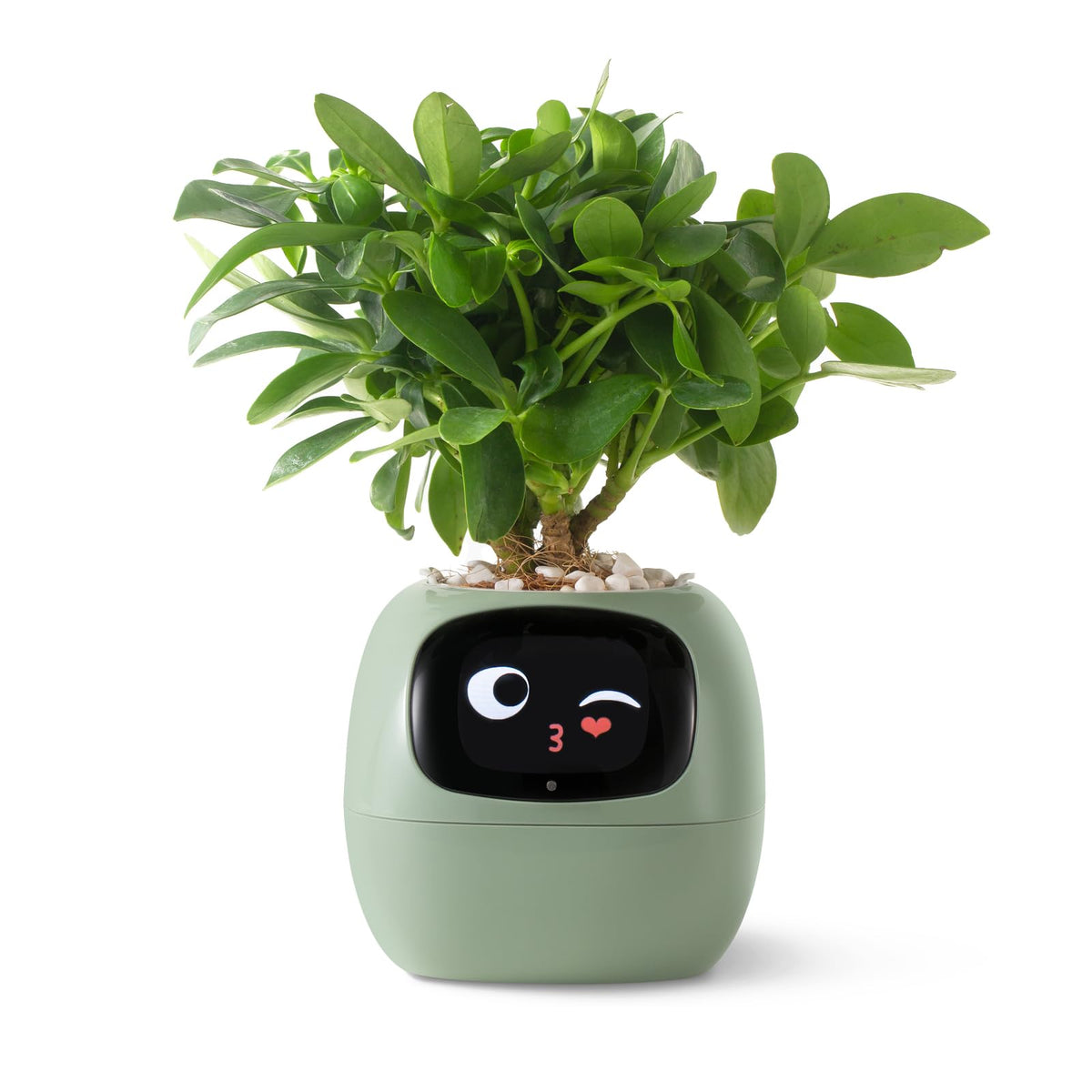 PLANTSIO Smart pet Planter Robot Guidance on Plant Care with Emojis, Adorable Plant Companion with Rich Gesture Interaction, Neat Desk Setup Gift (Green)