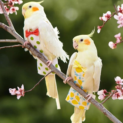 Ldabrye Bird Diaper Washable Parrot Diaper Fashion Flight Suit for Parakeets Parrot Costume Nappy Clothes for Budgies