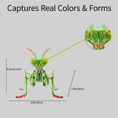 HELLOTOY 3D Acrylic Insects Puzzles DIY Bug Model Kit for Teenagers Educational Display Nature Decoration Figurine Sculpture (Mantis)