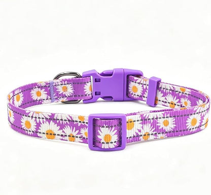 Dog Collar Leash Set, Floral Pattern, with Safety Reflective Strips, 5 ft Matching Leash, Neoprene Padded Handle, Adjustable 4 Sizes for Small Medium Large Dogs.(M, Purple Daisy)