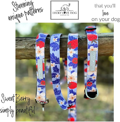 Lucky Love Dog Martingale Collar, Premium Fun Girl No Slip Collars, Strawberry Martingale Large Dog Collar, Great for Whippets, Greyhounds, and More (Sweet Berry, Large)