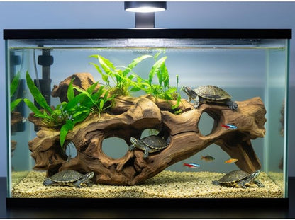 emours Porous Natural Driftwood for Aquarium, Aquascaping Driftwood with Holes, Hand-Selected Tunnels & Hideouts, Aquascaping Hardscape, Terrarium Reptile Décor, No Paint or Resin (16-20" (40-50 cm))