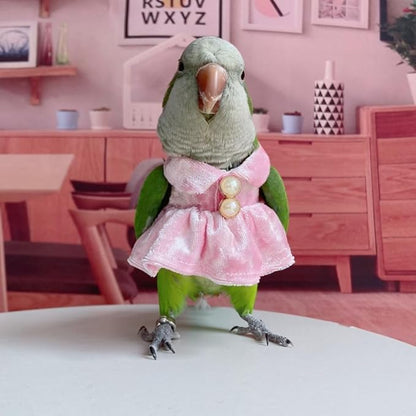 Bird Costume Bird Diaper Flight Suit Parrot Velvet Fleece Skirt Clothes Cosplay Photo Prop for Conure Lovebird Parakeet Cockatiel Macaw Small Animals Apparel (White,Macaw)
