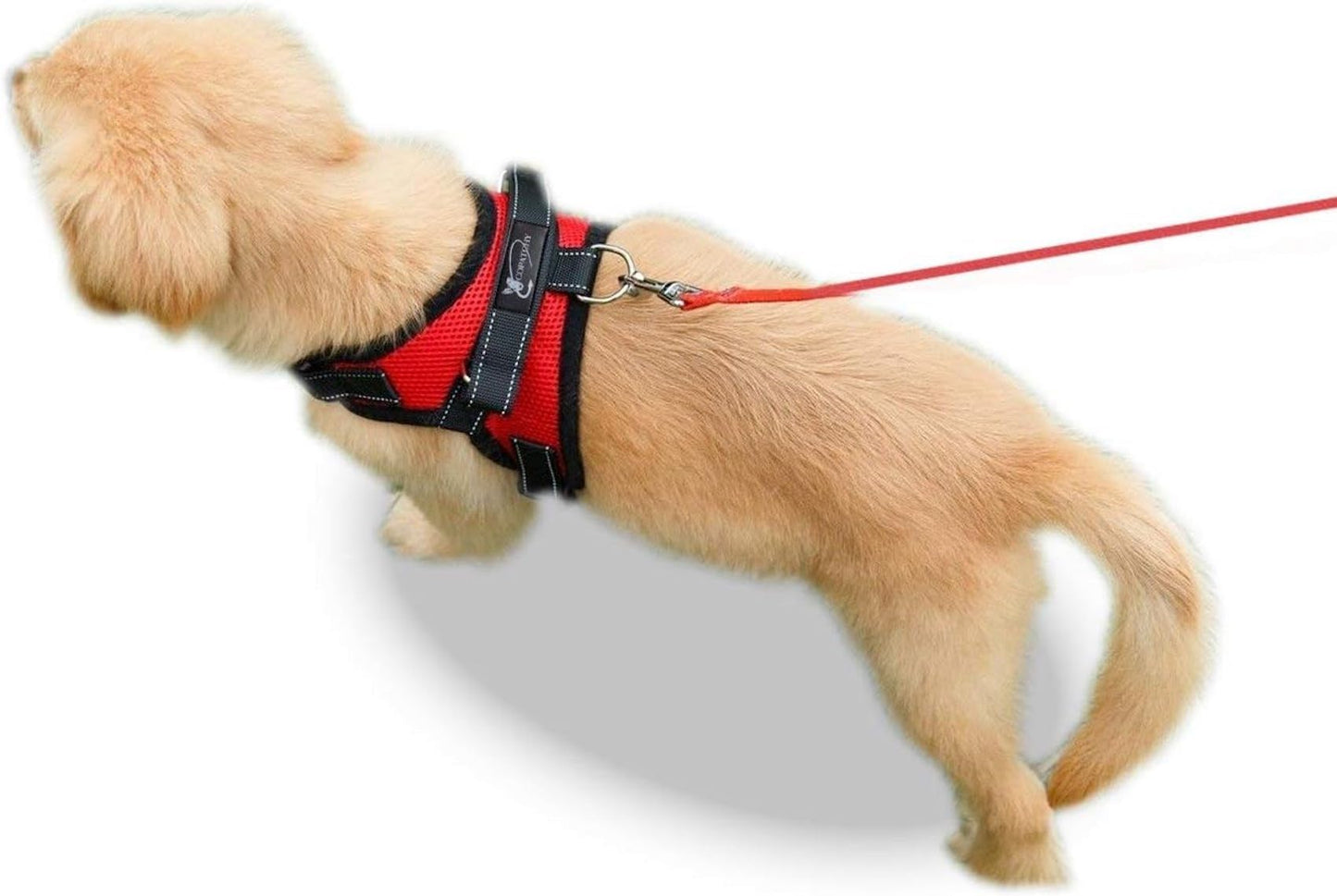 Copatchy No Pull Reflective Adjustable Dog Harness with Handle- Comfortable Soft All Weather Mesh, Easy On Puppy Harness for Small Medium and Large Dogs (Red) Small