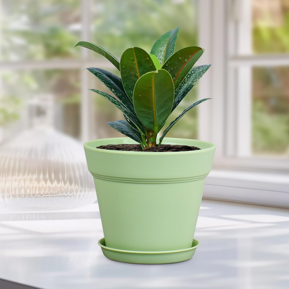 Meowell 6 inch Plastic Nursery Pots, 16 Pack Plant Pots for Small Indoor Outdoor Plants, Flower Pots with Drainage Holes and Saucers, Decorative Seeding Starter Planters for Houseplants, Green