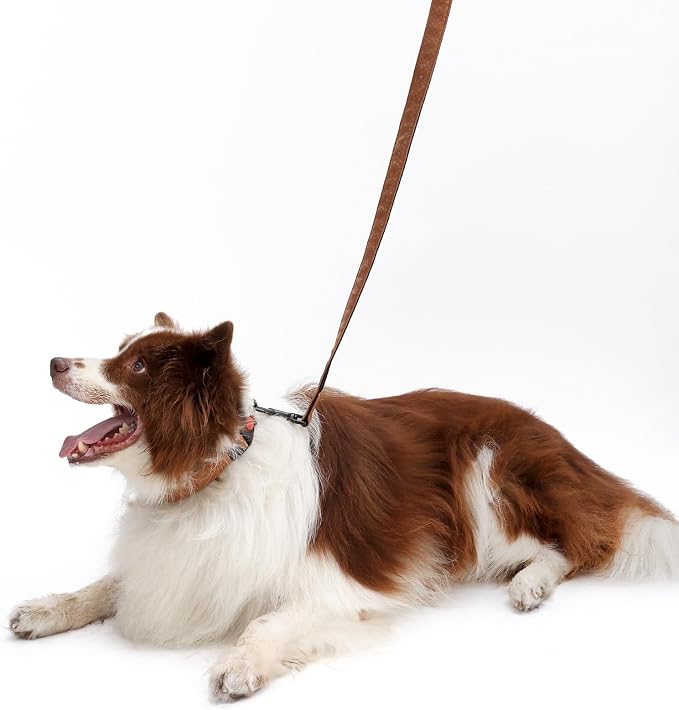Soft Leather 4ft Dog Collar and Leash Set,Stylish 4ft PU Leather Dog Training Leash, Adjustable Durable Pet Collars with Quick Release Buckle for Large Dogs,Medium Dogs,Terracotta (terracotta, 4 feet)