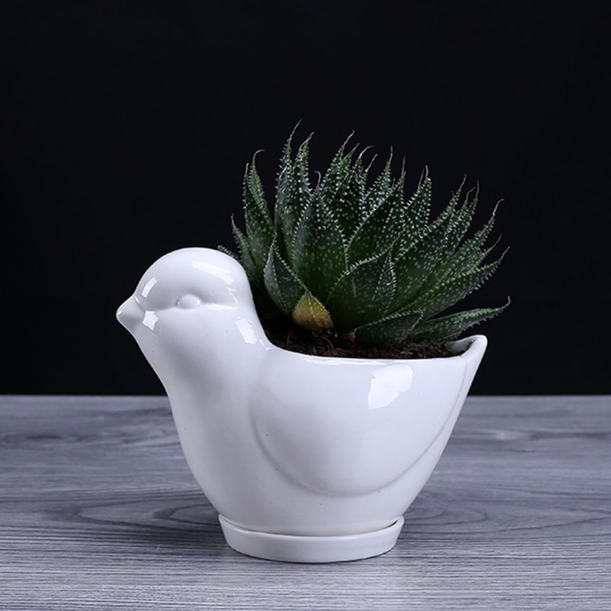 Kisangel Ceramic Bird-Shaped Flower Pot with Saucer for Succulent Plants, Small White Indoor Plant Container, Decorative Desktop Planter for Home Gardening