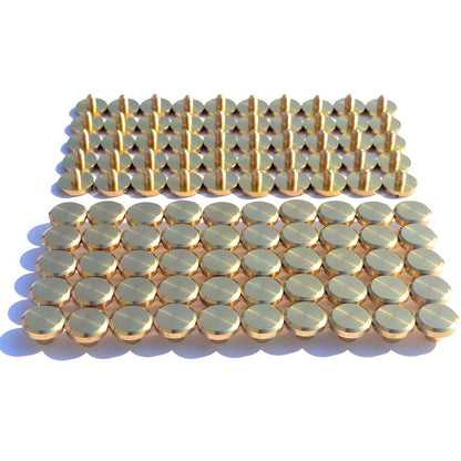 DGOL 50 Pairs Brass Backscrews Golden Leather Fasteners Sturdy Binding Rivets Belt Strap Collar Back Screws PU Studs Length (0.158 inch (4mm))