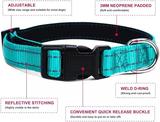 Soft Neoprene Padded Dog Collar and Leash Set for Small Medium Large Dogs, Reflective Durable Nylon Dog Collar with 5ft Leash Easy for Walking, Teal,Neck fit 10.5-15.5’’