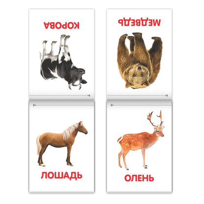 Doman Method Flashcard Russian Book Set for Learning Set - 8 Topics from Farm Animals to Alphabet - Карточки Домана - Книги на Русском Языке