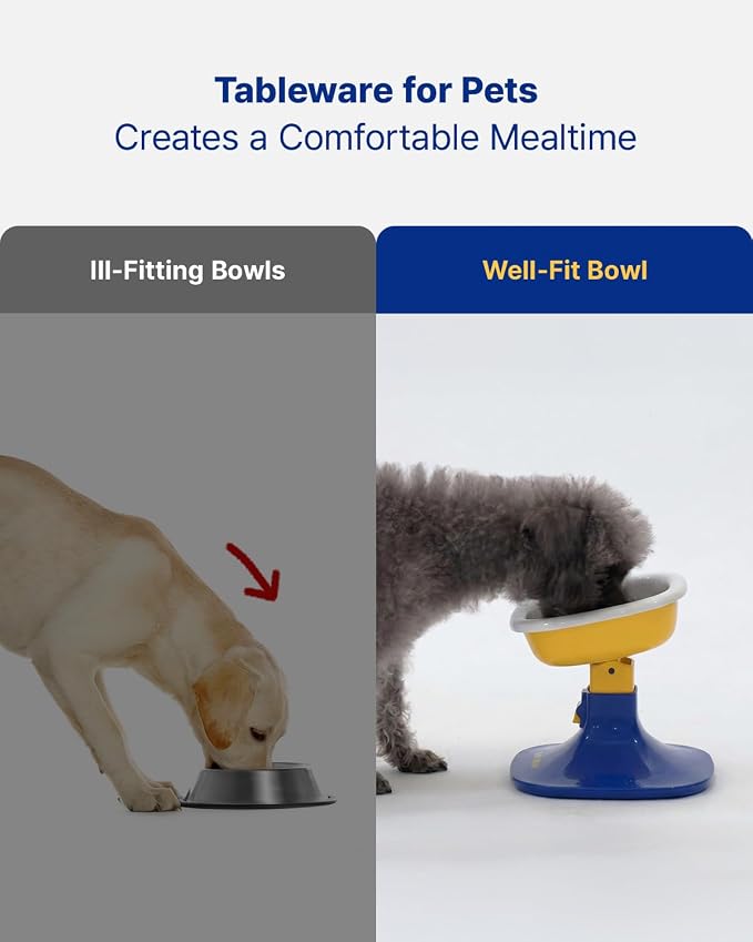 PETHROOM Well Fit Dog Bowl – Durable Ceramic Cat & Dog Food and Water Bowl, Non-Slip Silicone Base, Easy to Clean, 6.2 × 6.2 × 2.0 in, Cream