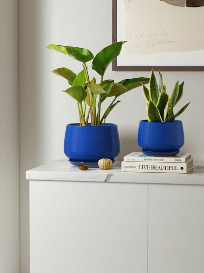 LE TAUCI Plant Pots, 4.1+5.1+6.5 inch, Set of 3, Ceramic Planters with Drainage Hole and Saucer, Indoor Flower Pot with Hole Mesh Pad, Gifts for Mom, Sapphire Blue