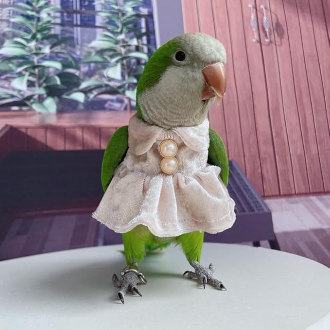Bird Costume Bird Diaper Flight Suit Parrot Velvet Fleece Skirt Clothes Cosplay Photo Prop for Conure Lovebird Parakeet Cockatiel Macaw Small Animals Apparel (White,Medium)